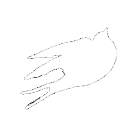 villadaliju playa oaxaca huatulco daliju Sticker