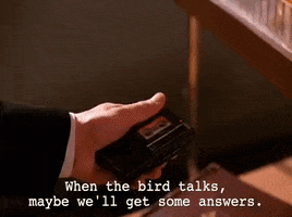 season 1 GIF by Twin Peaks on Showtime