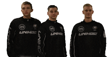 Catch Floorball Sticker by Storvreta IBK