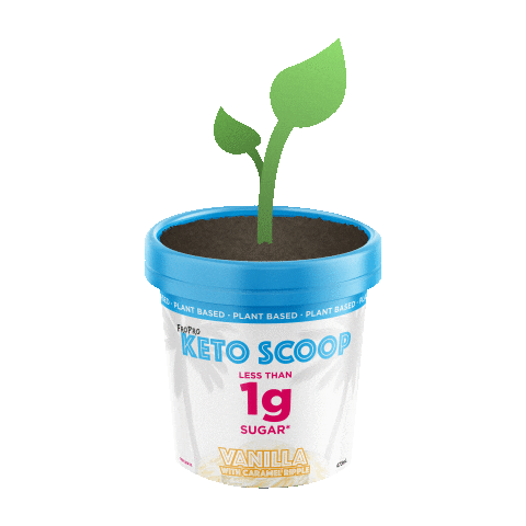 FroProAus giphyupload fitness pizza healthy Sticker