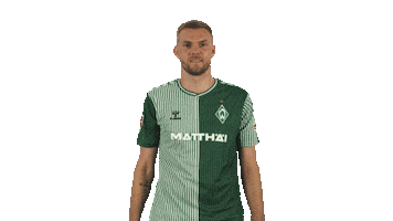Werder Bremen Sticker by Bundesliga
