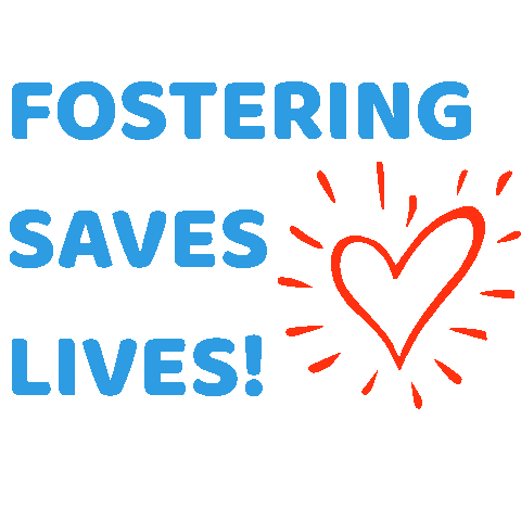carestl giphyupload fosteringsaveslives icarestl carestl Sticker