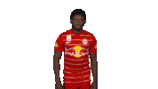 Red Bull Love Sticker by FC Red Bull Salzburg