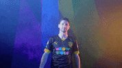 Meow Wolf Home Kit GIF by New Mexico United
