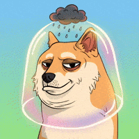 Shiba Inu Dog GIF by Doge Pound