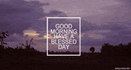 good morning GIF