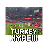 World Cup 2026 Turkey Sticker