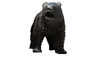 Bruin Bear Jess Sticker by UCLA