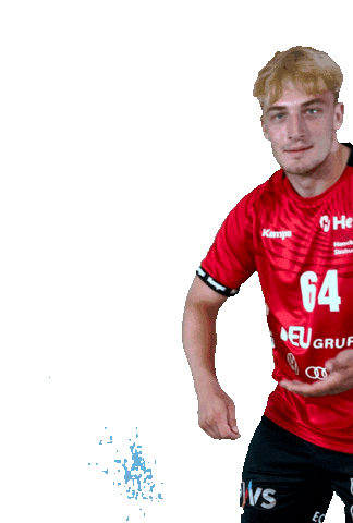 Sport Handball Sticker by Stralsunder HV