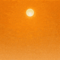 World Billions GIF by WeQuorum
