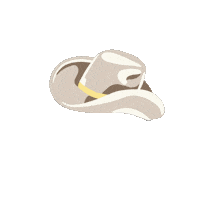Cowboy Hat Sticker by Kyte BABY