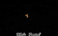 PouredInPA beer craft beer pennsylvania pa GIF