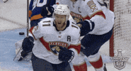 Ice Hockey GIF by NHL