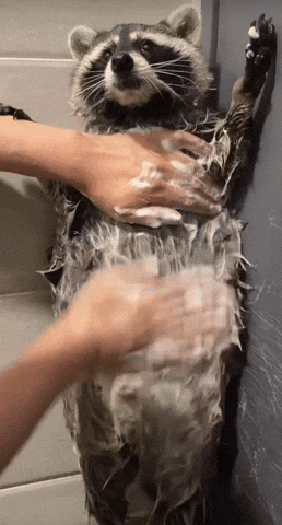 Rocket Bath GIF