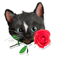 Cat Valentine Love Sticker by Felini Rocks