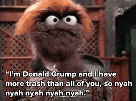 donald grump GIF