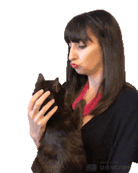 jennrobbins cat kiss kitty pet Sticker