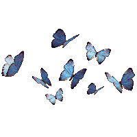 takarano beauty blue butterfly 青 Sticker