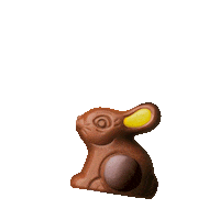 jeff_de_bruges spring chocolate gift rabbit Sticker