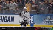 Western Michigan Wmu GIF by TheDreamTeam 