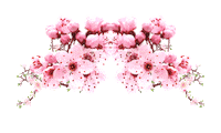 beauty flowers Sticker by 1DA