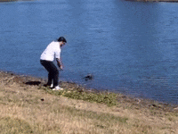 Epic Fail GIF by Sound FX
