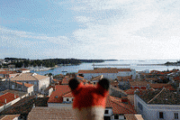 DIE_FOTOFUECHSE fotografieren fotokurs fotoreise fotofuechse GIF