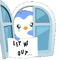 Im Innocent Let Me Go Sticker by Pudgy Penguins