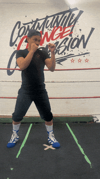 quinitboxing  GIF