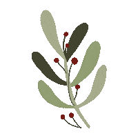 Christmas Plant Sticker
