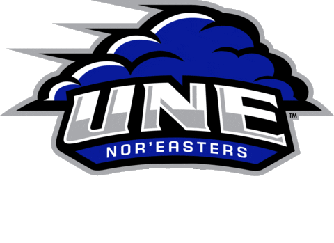 Noreasters Sticker by UNEAthletics