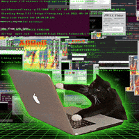 Hacking Hacker Man GIF by PERFECTL00P