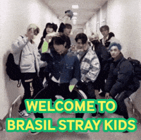 Stray Kids Skz GIF