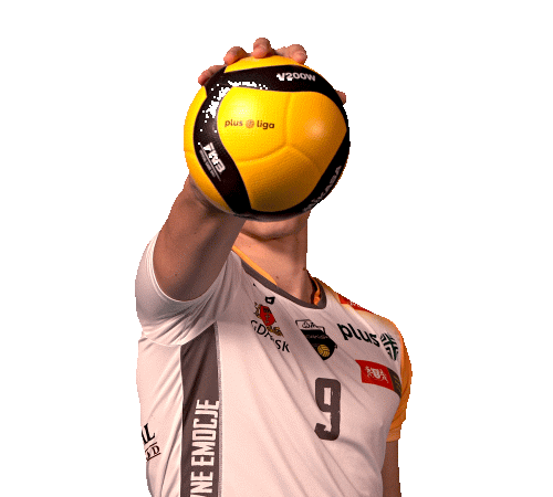 Team Ball Sticker by trefl_gdansk
