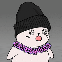 Fun Wow GIF by Sappy Seals Community
