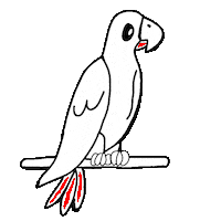 Parrot Nft Sticker by Digital Pratik