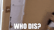 Celebrity gif. Holding a mug, Shalita Grant runs to brace herself against the door of her apartment, looking skeptically and grabbing the doorknob, then jumping aside to reluctantly open the door.