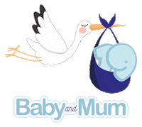 Cicogna Sticker by BabyandMum