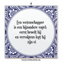 Humor Nl GIF by Tegelspreuken.nl