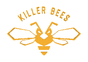 killer bees basketball Sticker by Killer Bees (Documentary)