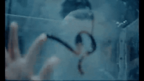 TalentoMusical giphyupload GIF