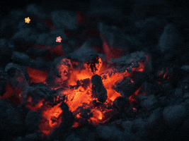You Can Wow GIF by FranchiseONE.de
