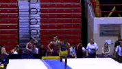 michigan men's gymnastics GIF by Michigan Athletics