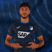 Sport Bundesliga GIF by TSG Hoffenheim