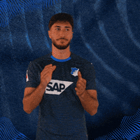 Sport Bundesliga GIF by TSG Hoffenheim