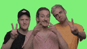 liimo peace limo liimo GIF