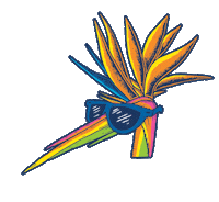 Koslik sun sunglasses tropical paradise Sticker