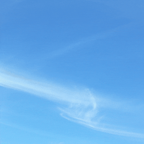 Top Perfetto GIF by ITA Airways