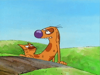 nicksplat GIF