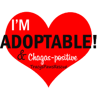 Happy Dog Sticker by TracysPawsRescue